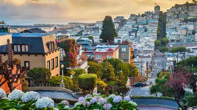 Vista Nieruchomości